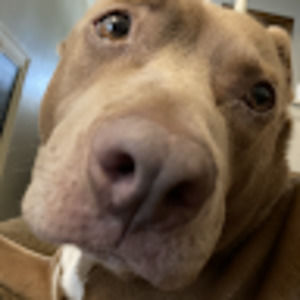 Meet your Posher, Lawson